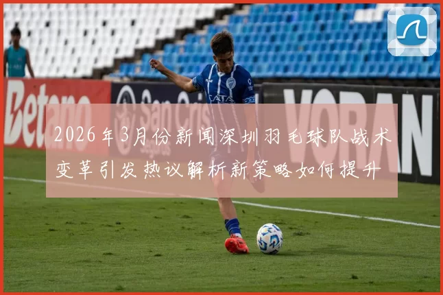 2026年3月份新闻深圳羽毛球队战术变革引发热议解析新策略如何提升竞技水平与团队协作